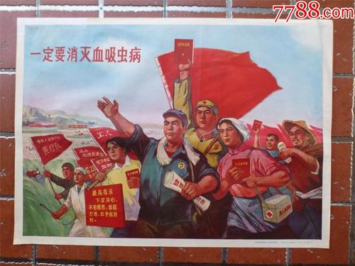 IE大学学历学位认证